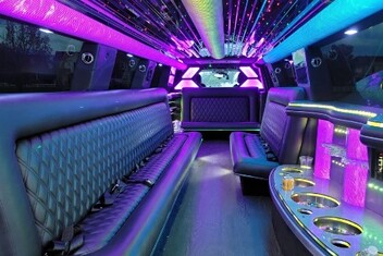 Sammamish Limo Interior